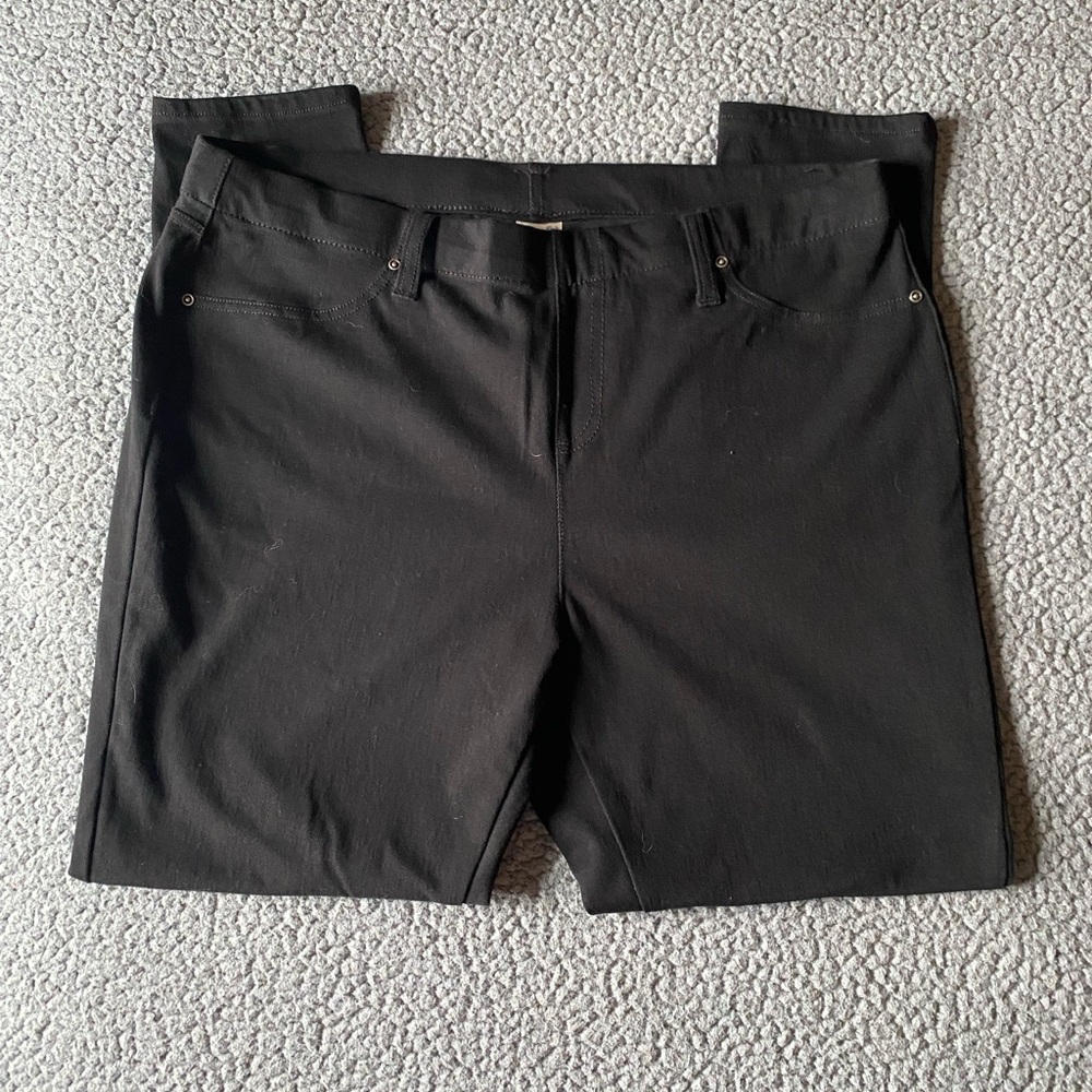 Terra & Sky Woman Charcoal Flat Front jeggings Pants